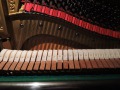 DSCN1879