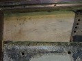 DSCN0315