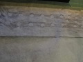 DSCN0321
