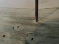 DSCN0322