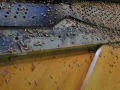 DSCN0326