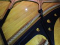 DSCN0387