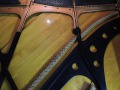 DSCN0394