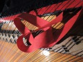 DSCN0516