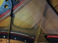 DSCN0536