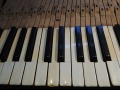 DSCN0567