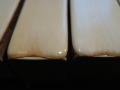DSCN0568