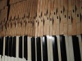 DSCN0583