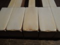 DSCN0590