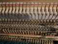 DSCN0654
