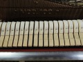 Pleyel-005
