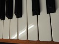 Pleyel-012