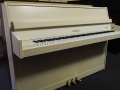 DSCN2979