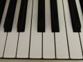 DSCN2990
