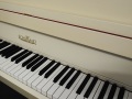 DSCN2993