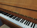 Schimmel-nb-109-002