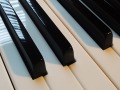 Schimmel-nb-109-005