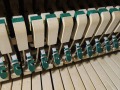 Schimmel-nb-109-011