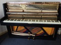 Seiler-nb-s006