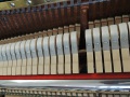 Haegele-11