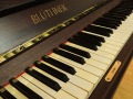 Bluethner-04