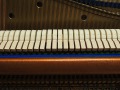 Bluethner-06