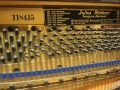 Bluethner-10