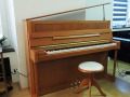 Schimmel-112-Kirsch-004