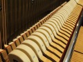 Geissler-Eiche-009
