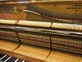 Geissler-Eiche-011