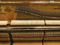 Geissler-Eiche-010