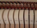 Yamaha-M5J-104-nb-03
