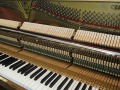 Sauter-106-nb-pol-007