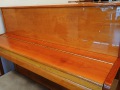 RV-112-Kirsche-pol-04