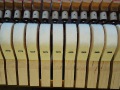 Schiedmayer-006
