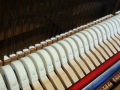 Ritter-NB-006