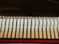 Ritter-NB-007