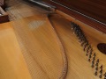 Klavichord-Neupert-004
