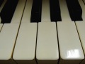 BL006