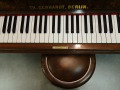 Gerhardt-4727-nb-Wurzel-003
