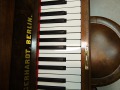 Gerhardt-4727-nb-Wurzel-010