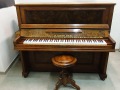 Gerhardt-4727-nb-Wurzel-001