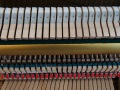 Yamaha-P2-003