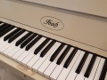 Ibach-105-010