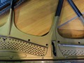 BV046