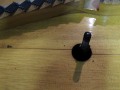 BV054