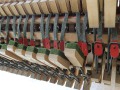 BV309.JPG