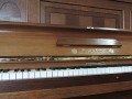 BV330.JPG