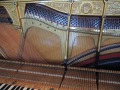 DSCN1245