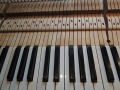DSCN1609